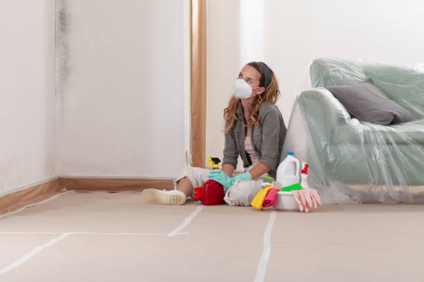 Reliable Mold Testing contractor in Convent Station, NJ by WQB Mold Removal
